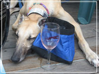 grapehound